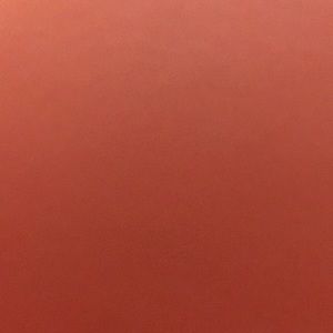 Meet your Posher, Lily